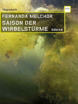 cover image of Saison der Wirbelstürme